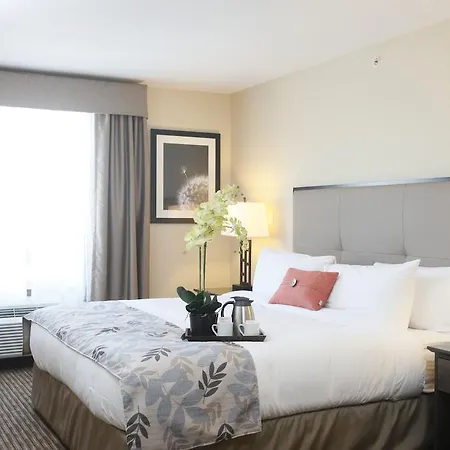 Pomeroy Inn & Suites At Olds College Chambre photo